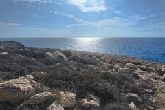 IMG_20231114_115843
