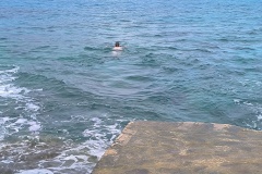 IMG_20231114_134208