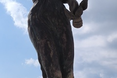 IMG_20231115_102130