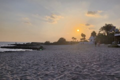 IMG_20231115_155921