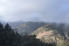 IMG_20231107_150715